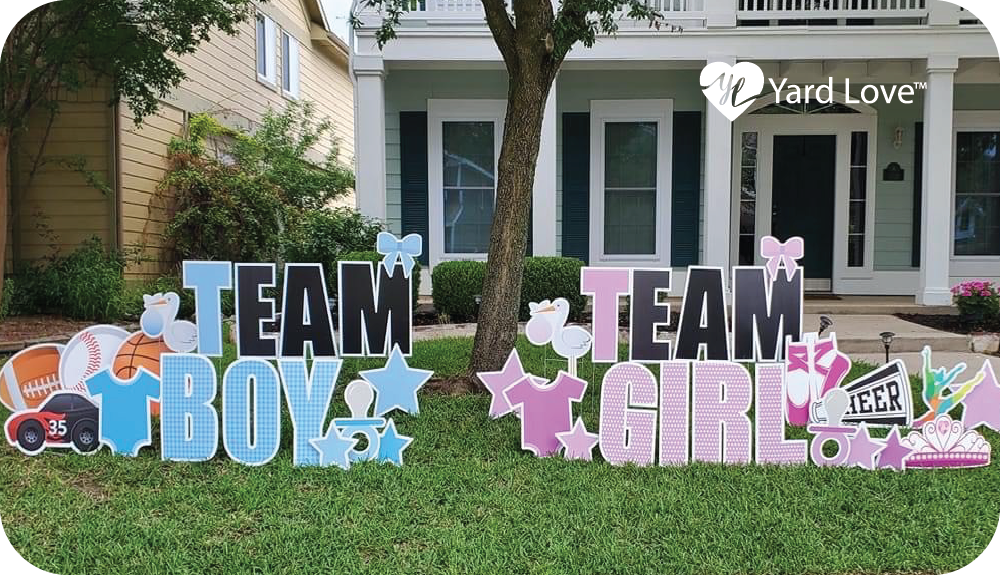 Team boy or Team girl yard signs