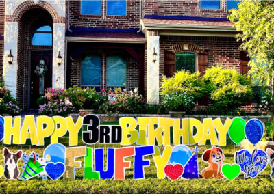 Happy 3rd Birthday Fluffy